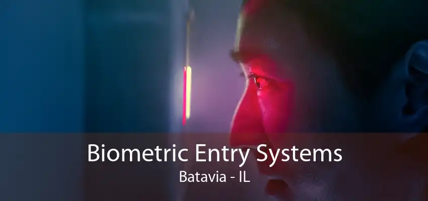 Biometric Entry Systems Batavia - IL