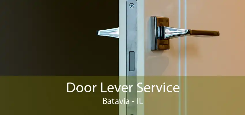 Door Lever Service Batavia - IL